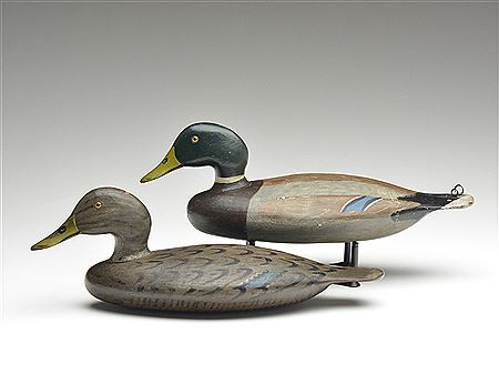 Rigmate pair of mallards