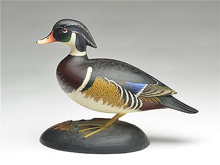 Standing wood duck drake