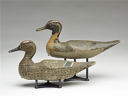 Pair of pintails