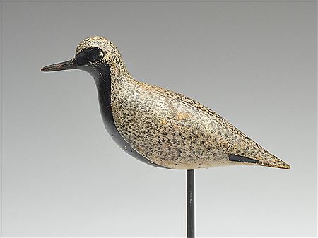 Black bellied plover by Daniel Demott - Auction record, sale price, and art valuation. Compare with similar artists and explore comparable artworks.