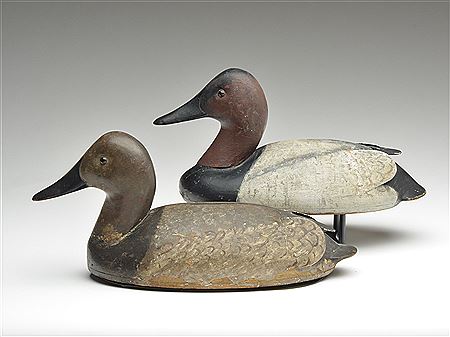 Rigmate pair of canvasbacks