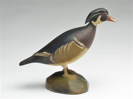 Standing wood duck