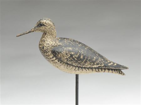 Exceptional greater yellowlegs in content pose