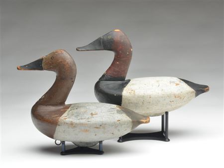 Rigmate pair of canvasbacks