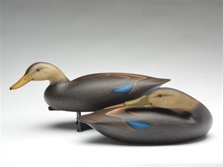 Excellent pair of hollow carved black ducks