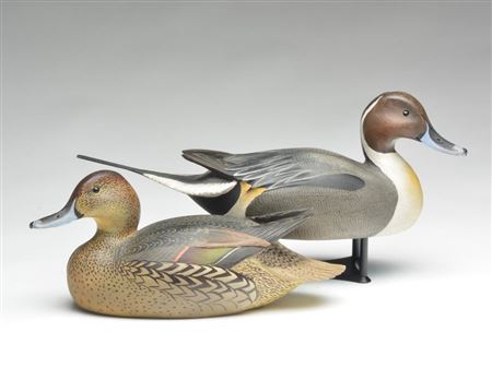 Pair of pintails (2)