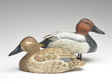 Pair of canvasbacks (2)