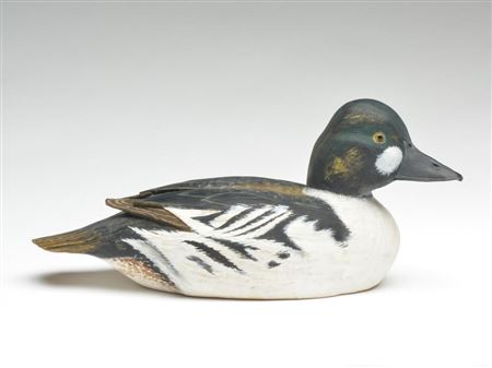Goldeneye
