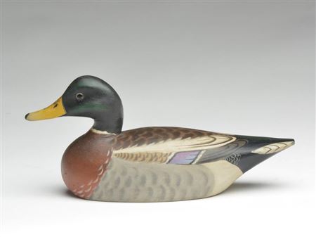 2/3 size mallard