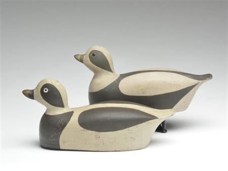 Two old squaws in different plumages (pair) by Clarence (Captain) Bailey - Auction record, sale price, and art valuation. Compare with similar artists and explore comparable artworks.