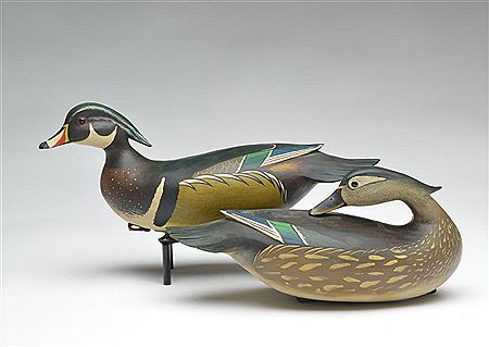 Pair of wood ducks