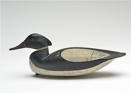 Red breasted merganser