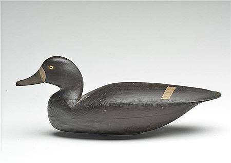 Bluebill hen