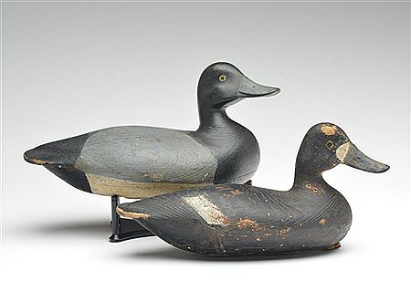 Hen and drake bluebill