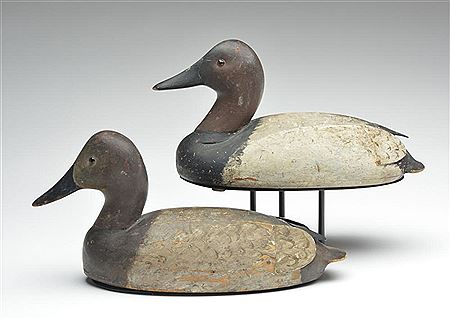 Rigmate pair of canvasbacks