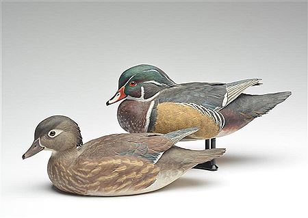 Pair of wood ducks