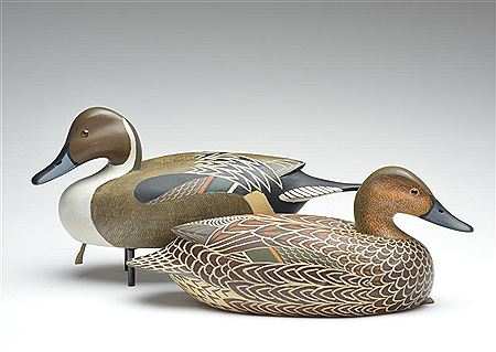 Rigmate pair of pintails