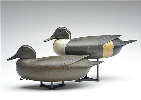 Important rigmate pair of pintails