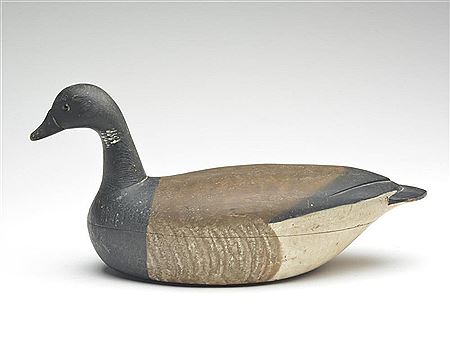 Excellent brant