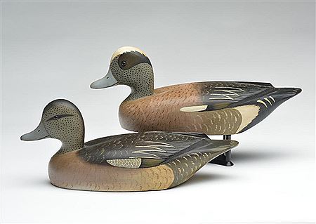 Rigmate pair of widgeon