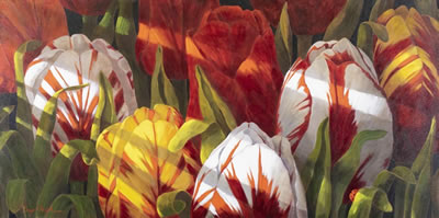 MORNING LIGHT ON TULIPS