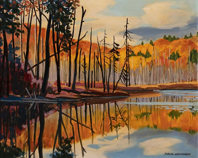 MOOSE HABITAT HALIBURTON ONT.; 2005
