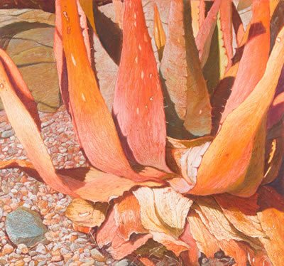 "Amulet '81," 1981