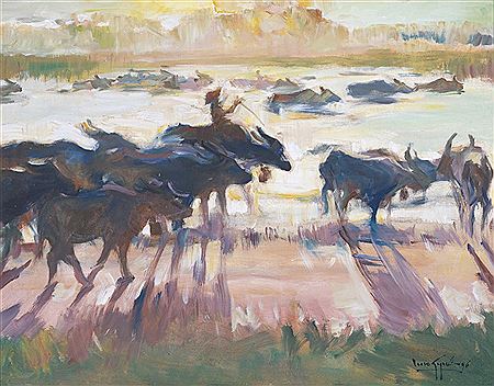 Buffaloes