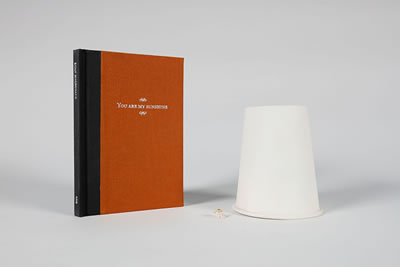 A Mosquito under A Paper Cup