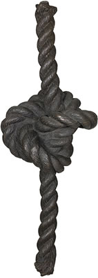 Il est interdit d’apprendre (The Knot)