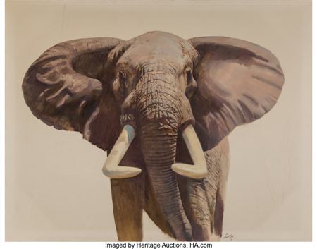 Elephant