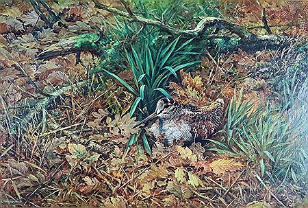 Woodcock amongst the leaves by Berrisford Hill - Auction record, sale price, and art valuation. Compare with similar artists and explore comparable artworks.