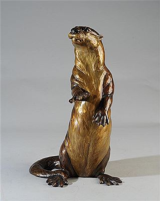 Alert and inquisitive standing otter