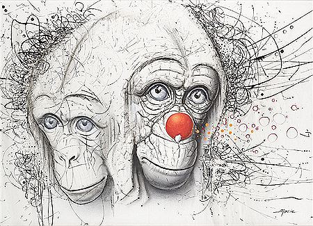 Singes, un au nez rouge