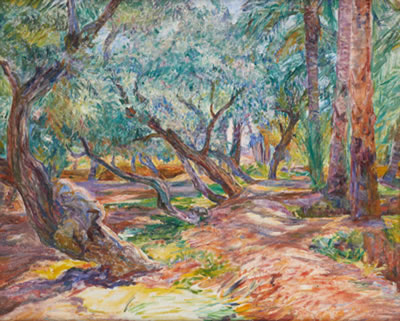 "Palmiers et oliviers"