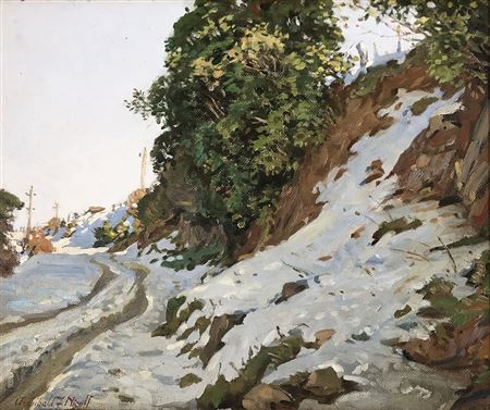 Snowy Landscape