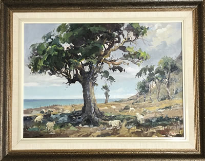 Old Karaka Pahau Coast