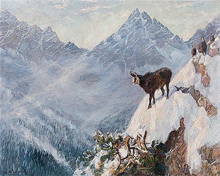 Chamoises in the mountains (Dremlspitze, Lechtal)
