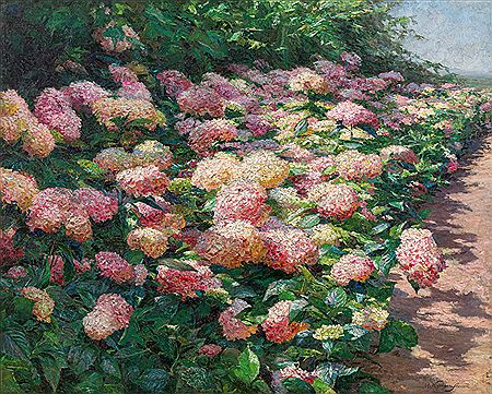 Hydrangeas (from Grafenegg), 1901 by Olga Wisinger-Florian - Auction record, sale price, and art valuation. Compare with similar artists and explore comparable artworks.