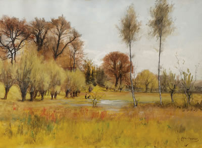 Early Spring Landscape Near Meadow