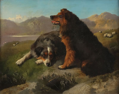 Highland Collies- 1875