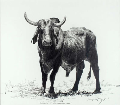 Wildlife of the American West