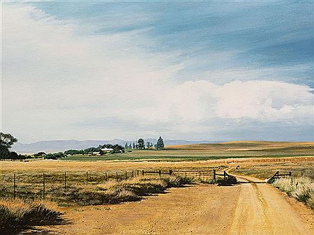 Extensive Farm Landscape