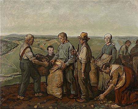 Die Kartoffelernte