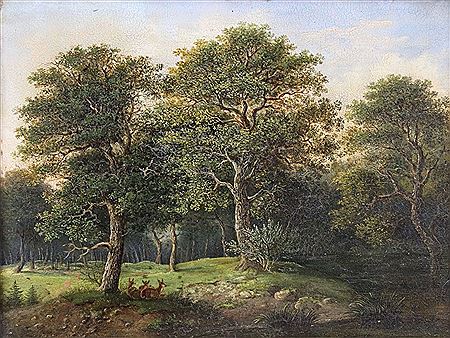 Rehe auf einer Waldlichtung