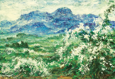Landscape 2007