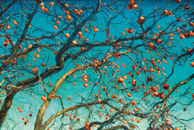 Persimmon 2010