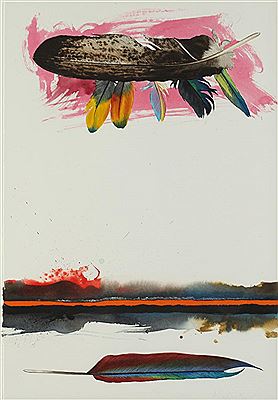 HORIZONTAL FEATHER ART