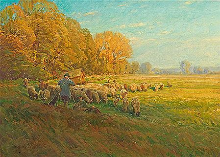 Flock of sheep at the edge of the forest