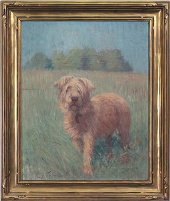 WHEATEN TERRIER IN FIELD